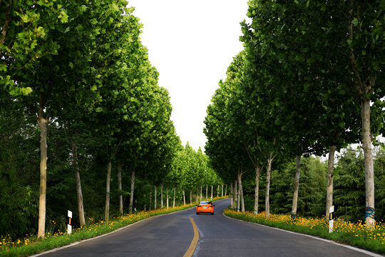 乡村公路上的橙色汽车