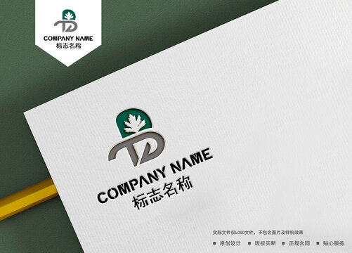 BT字母logo