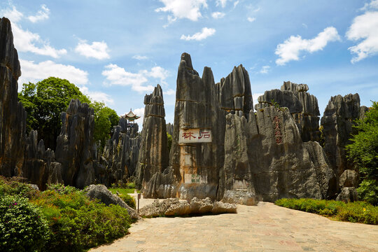 昆明石林地质公园景区风光