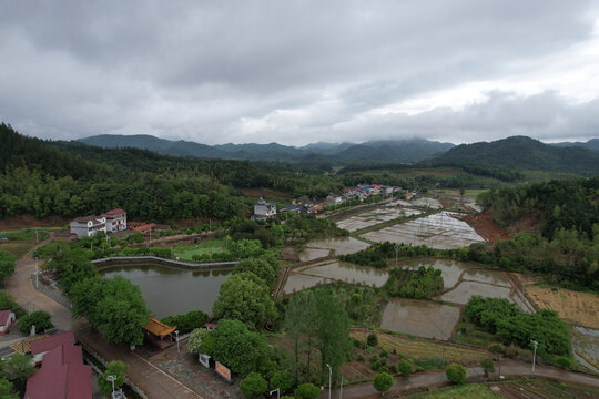 田园