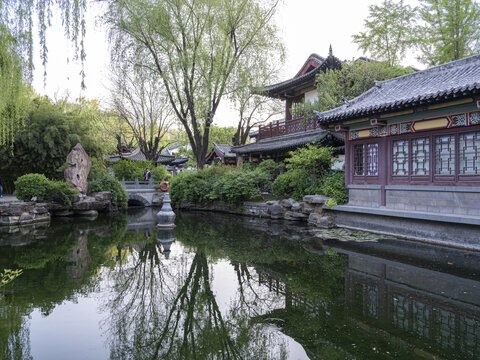 趵突泉公园湖畔景致