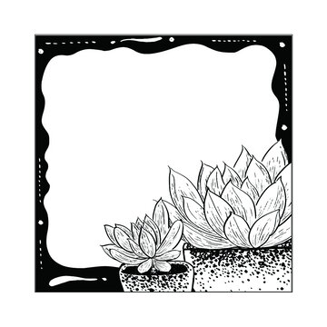 黑白手绘多肉植物黑白便签边框插画可印刷