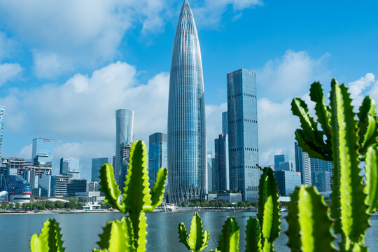 深圳城市天际线与仙人掌