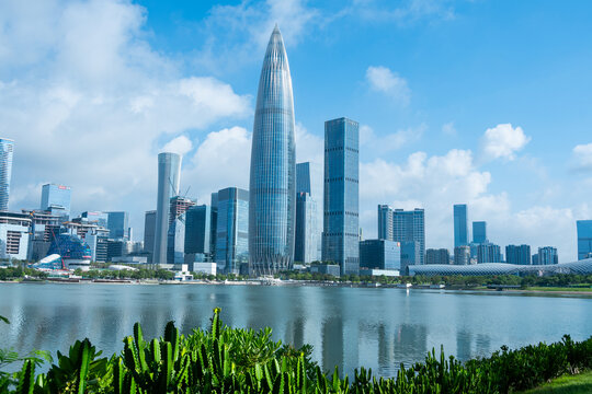 深圳城市天际线与仙人掌