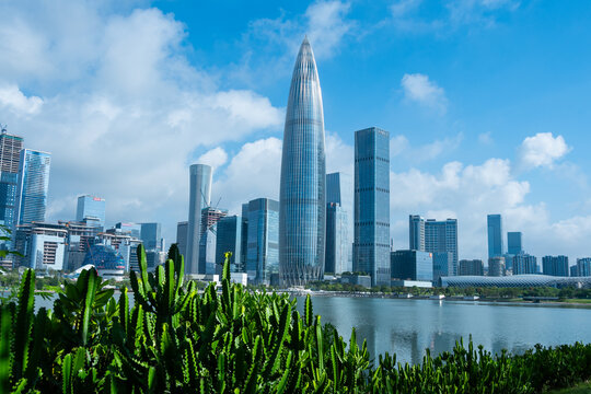深圳城市天际线与仙人掌
