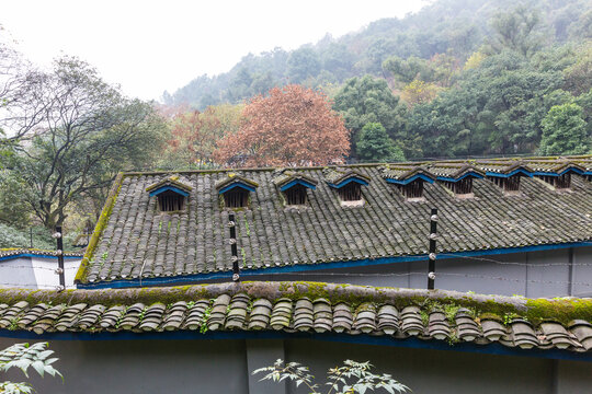 监狱高墙