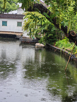 江南水乡雨中静谧小河景