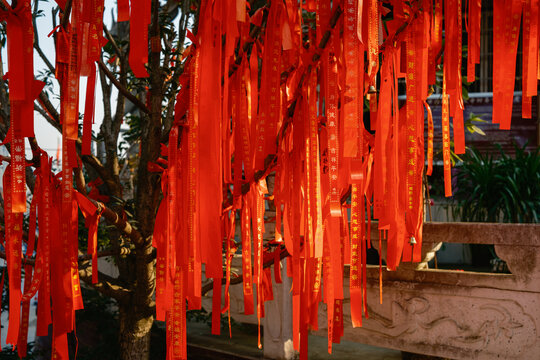 祈福红丝带挂满树枝