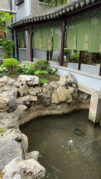 中式庭院中的锦鲤池塘