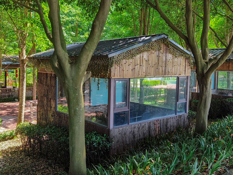 林间木质小屋静谧景致