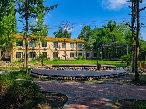 绿树环绕的庭院建筑景观