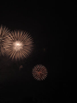 夜空中绚烂绽放的烟花