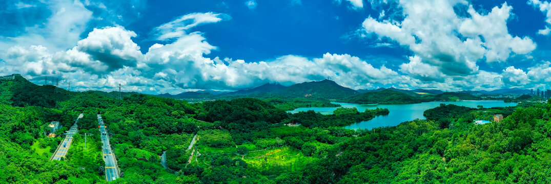 青山绿水