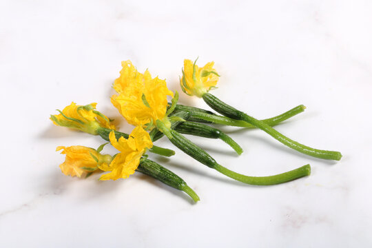 黄瓜花