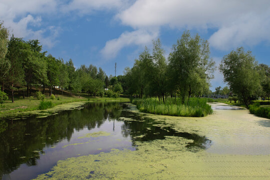 园林风景