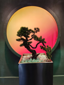 中式盆栽与梦幻背景景观