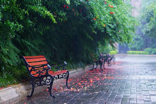 雨后繁花旁的静谧长椅