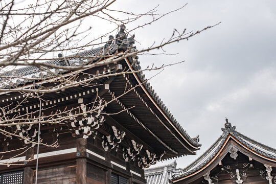日式古建屋顶枯树枝景观