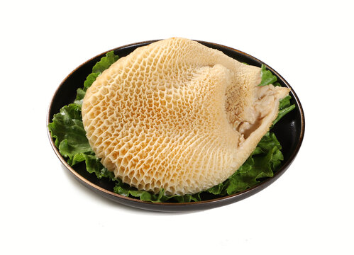 金钱肚