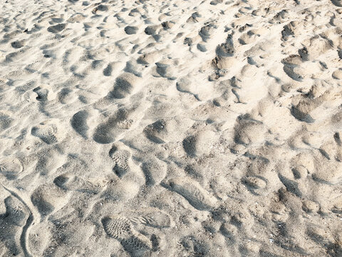 沙滩上密密麻麻的脚印