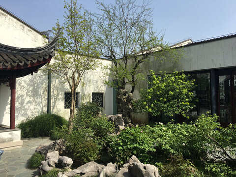苏州园林中式庭院中的绿植与假山