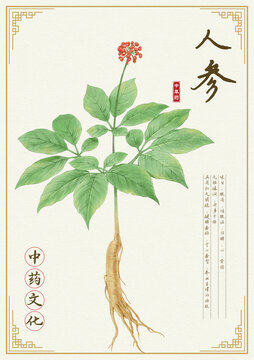 人参