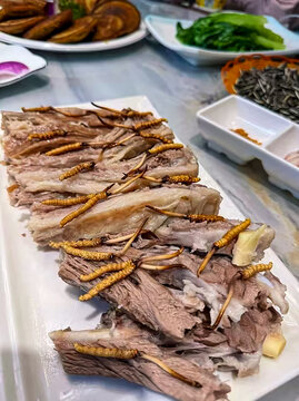 冬虫夏草与羊肉