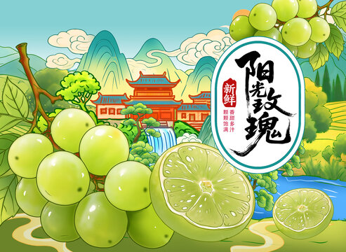 阳光玫瑰葡萄包装