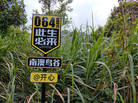 南澳岛南澳鸟谷