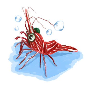 手绘卡通红色大虾插画