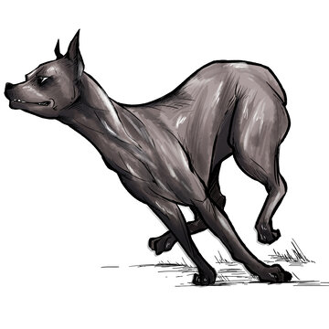 黑色猎犬动态手绘插画