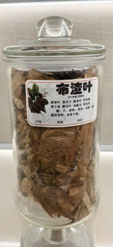 中药材布渣叶