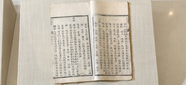 古籍医书内页展示