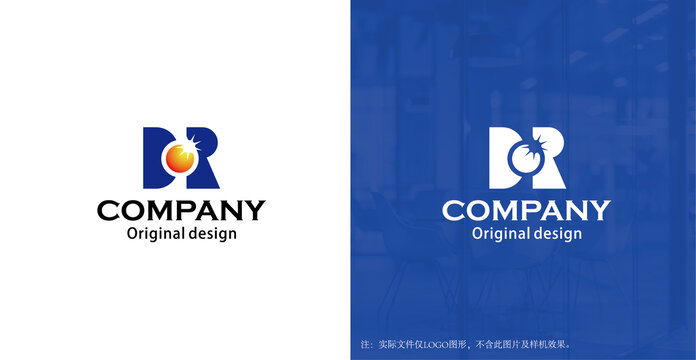 DR字母创意企业logo设计