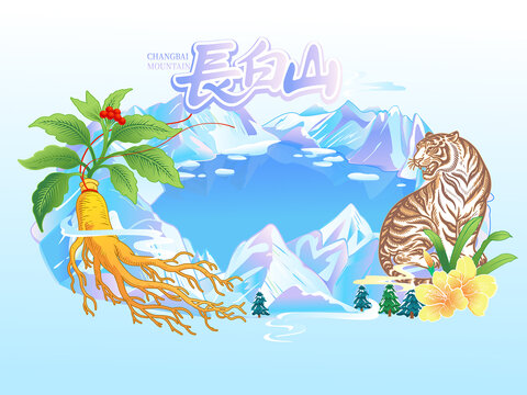 吉林长白山天池雪山风景插画人参野山参礼盒