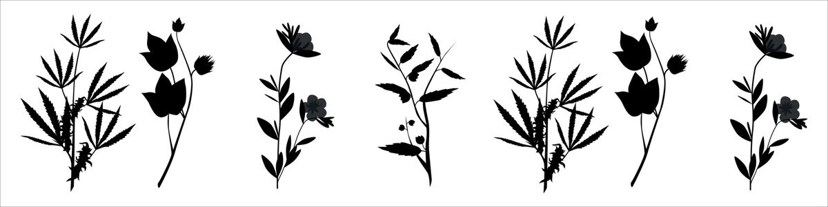 黑色花卉植物矢量剪影素材