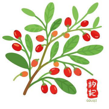 枸杞茶枸杞原浆包装中医中草药插图