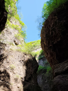 峡谷风光峭壁绿植蓝天