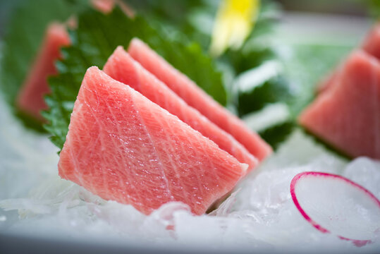 鲜嫩金枪鱼刺身摆盘