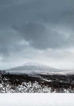 日本东北地区青森县的八甲田山冬季雪景，覆盖着白色雪花