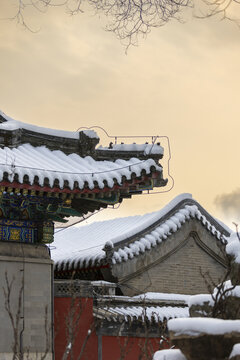 雪景