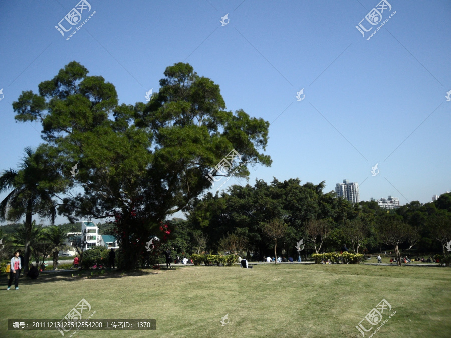 树木风景,蓝天,草地,游客