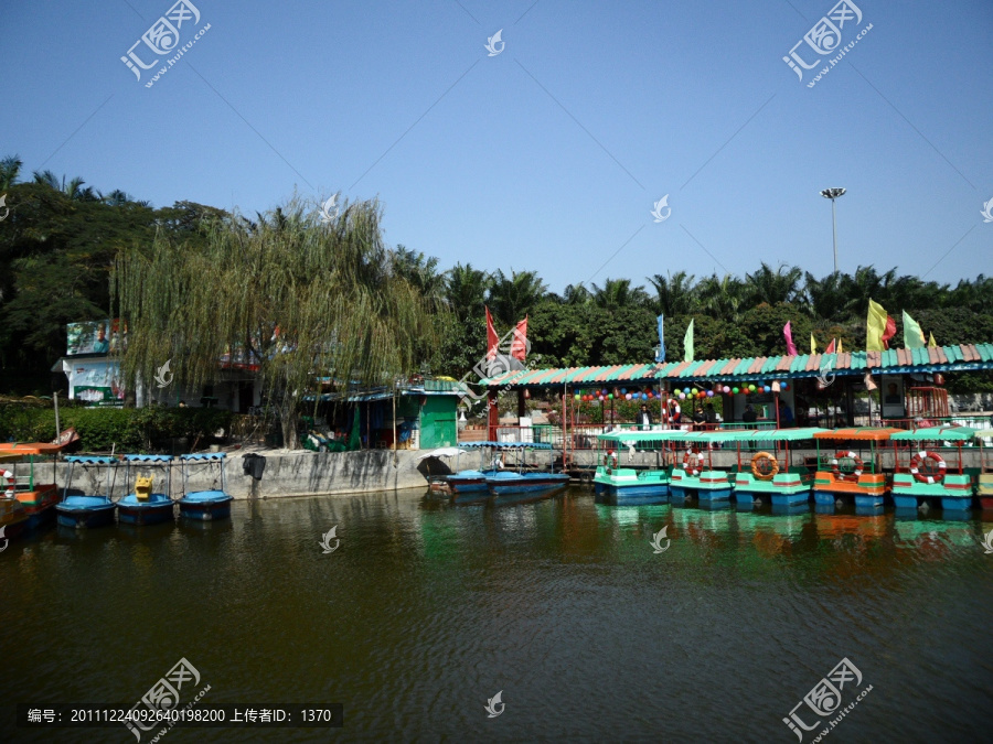 深圳中山公园,湖畔,湖边风景,游船,垂柳