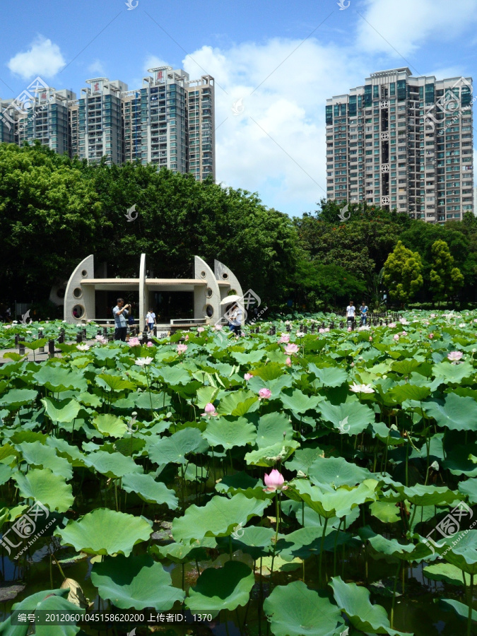 湖畔建筑