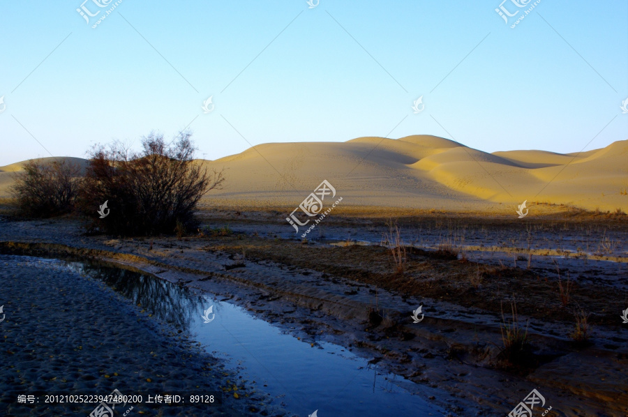沙丘边的小溪流