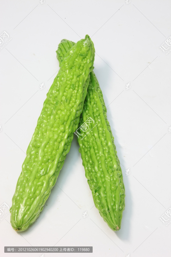 苦瓜