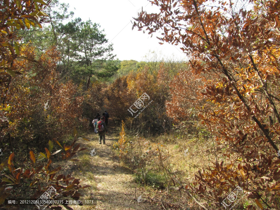 深秋,明光老嘉山风光