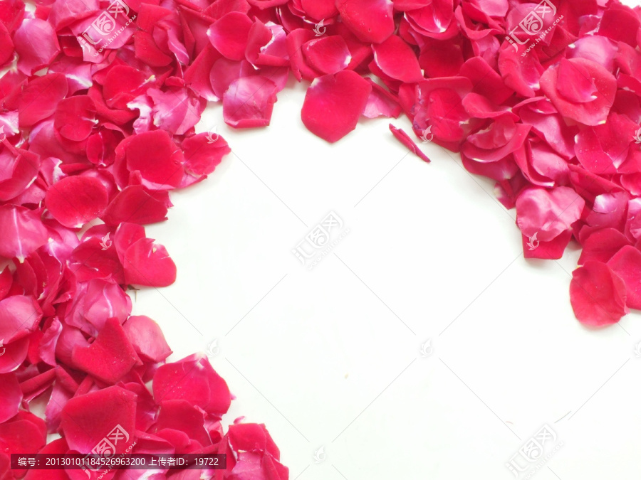 玫瑰花瓣