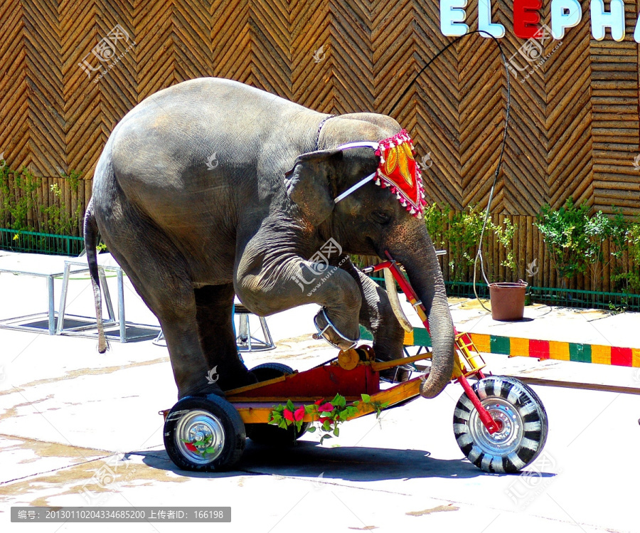 大象推车