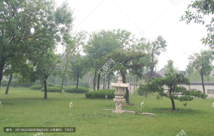 雨天北宁公园树木绿地